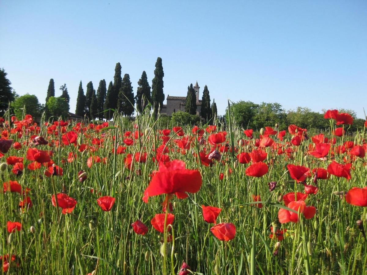 Agriturismo Campagnoletto Cavriana Buitenkant foto