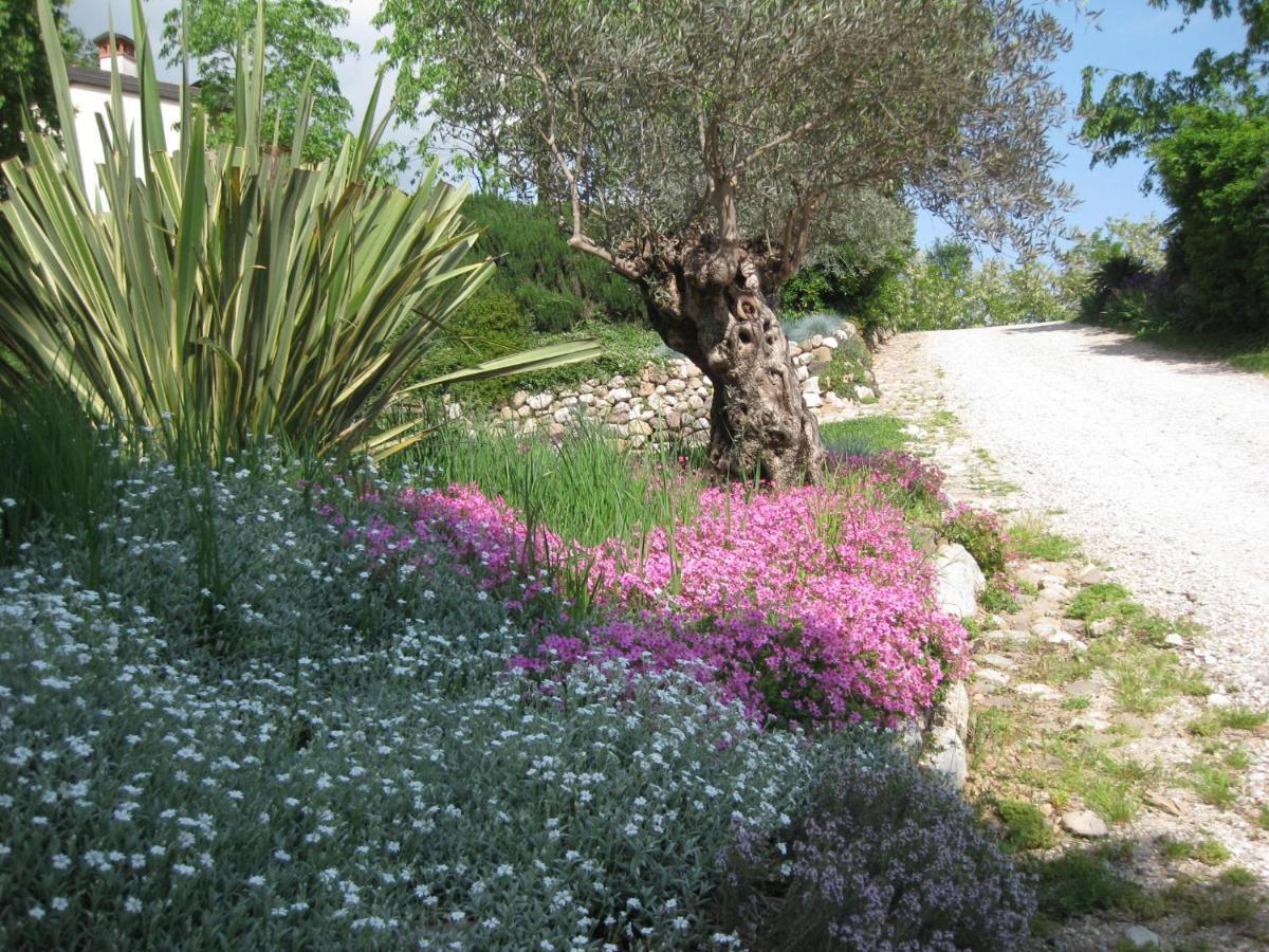 Agriturismo Campagnoletto Cavriana Buitenkant foto